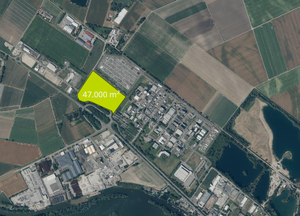 Immobilien
